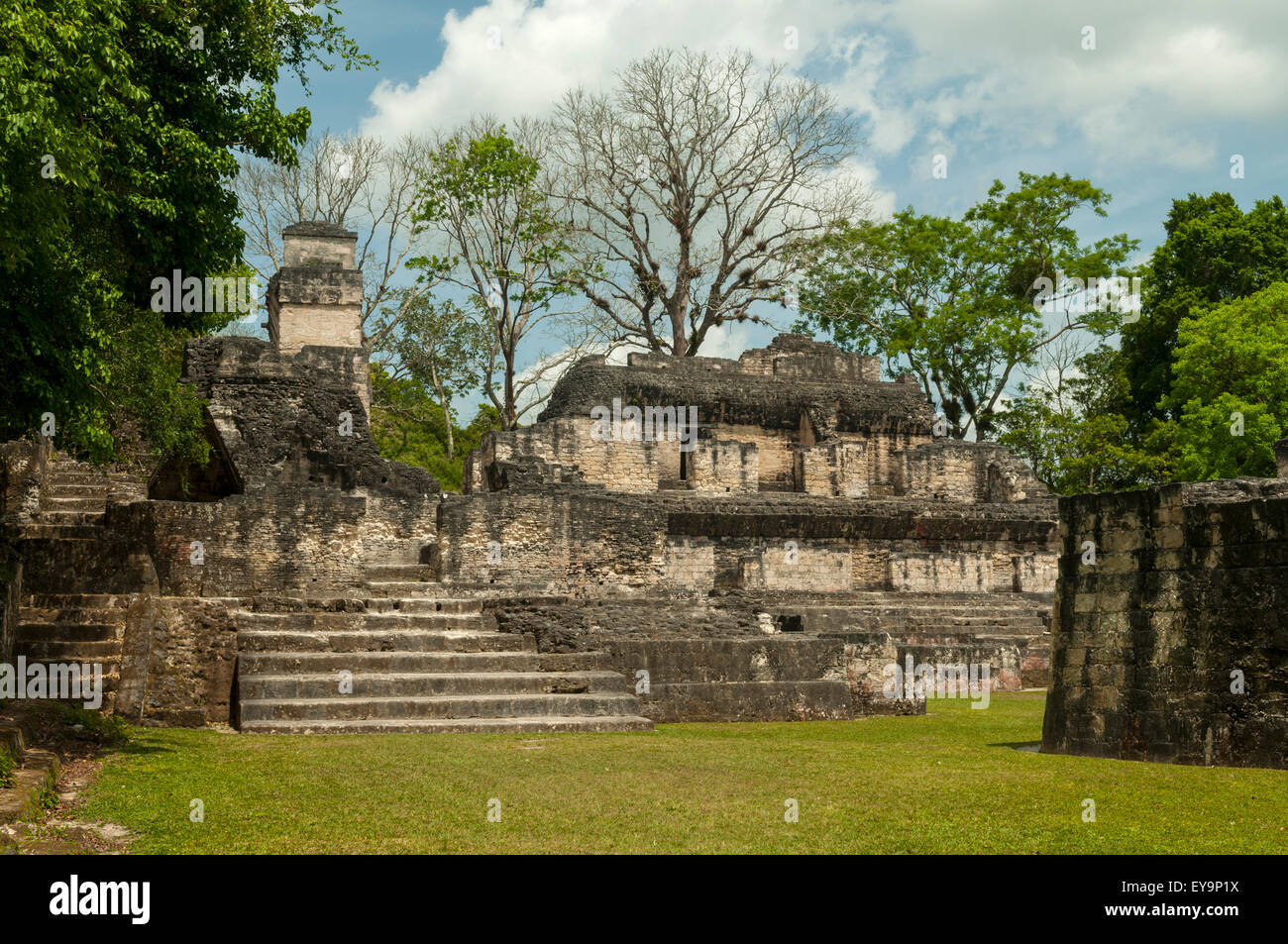 Centrale de l'acropole, Tikal, Guatemala Banque D'Images