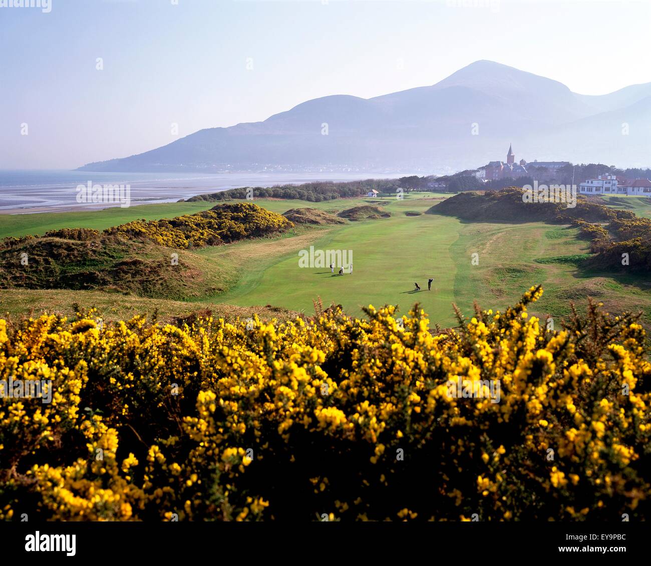 Portrait d'un terrain de golf, Royal County Down Golf Club, Newcastle, comté de Down, Irlande du Nord Banque D'Images