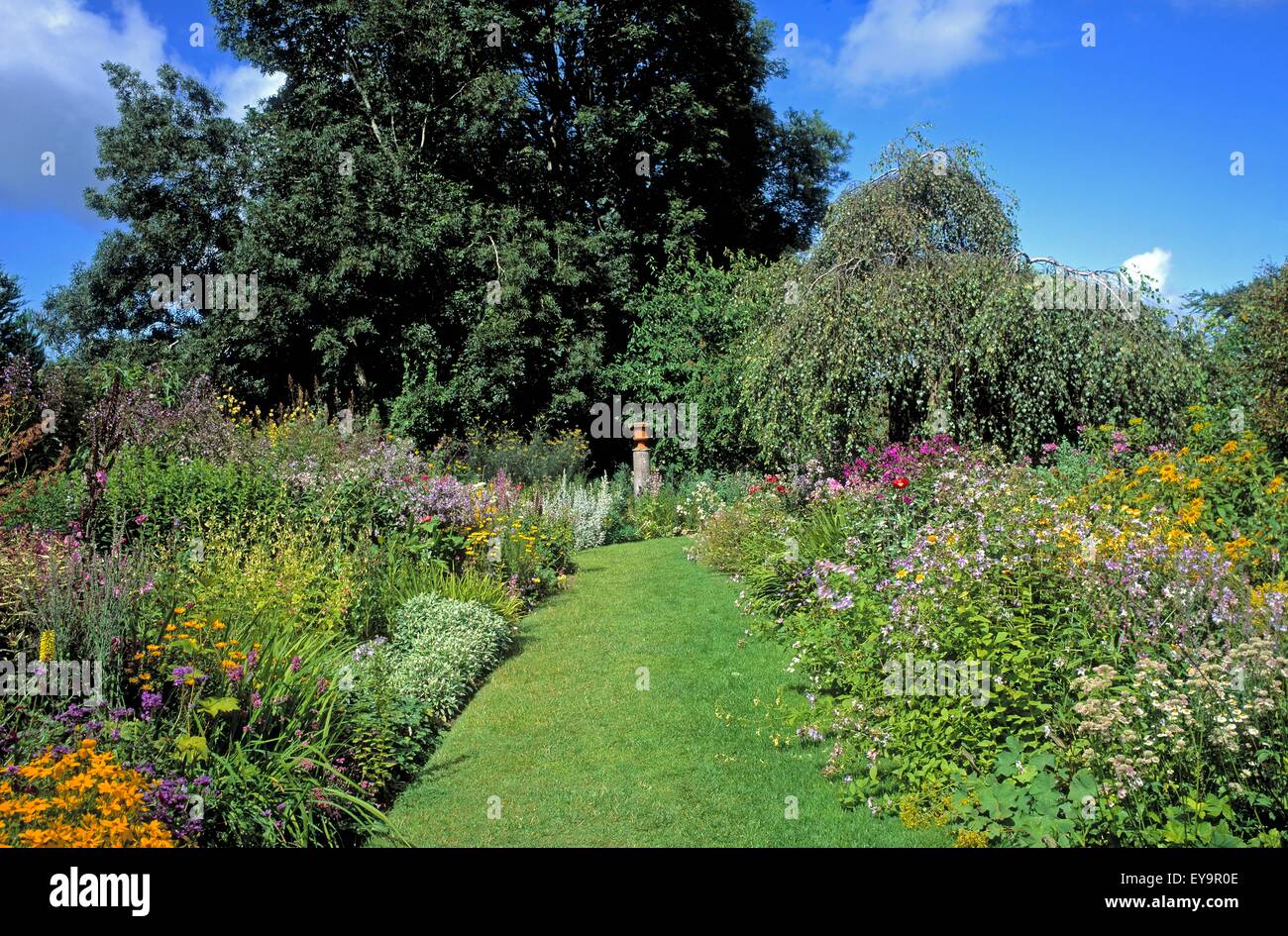 Butterstream Gardens, Co Meath, Irlande ; Frontière herbacées en été Banque D'Images