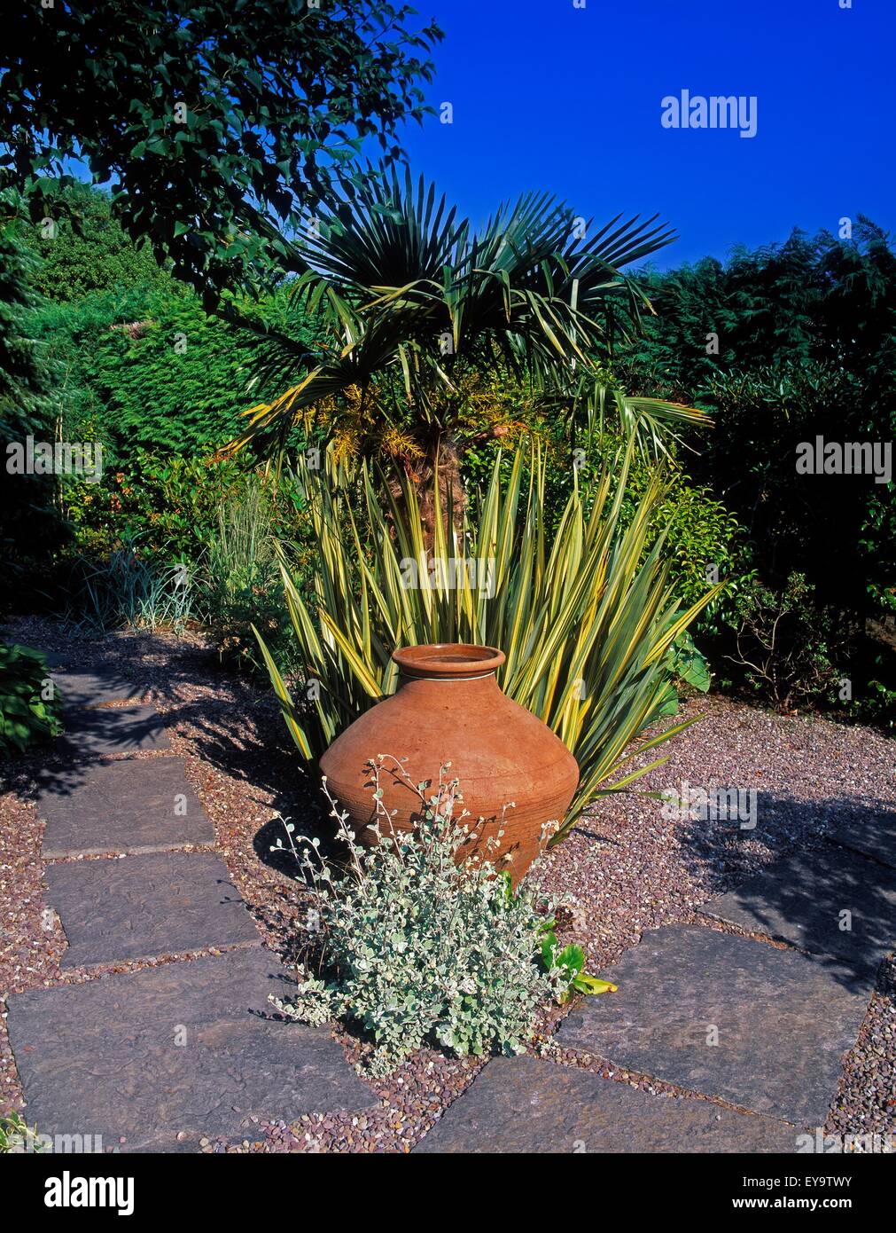 Jardin de l'urne avec Cordyline, Jardin Lakemount, Co Cork, Ireland Banque D'Images