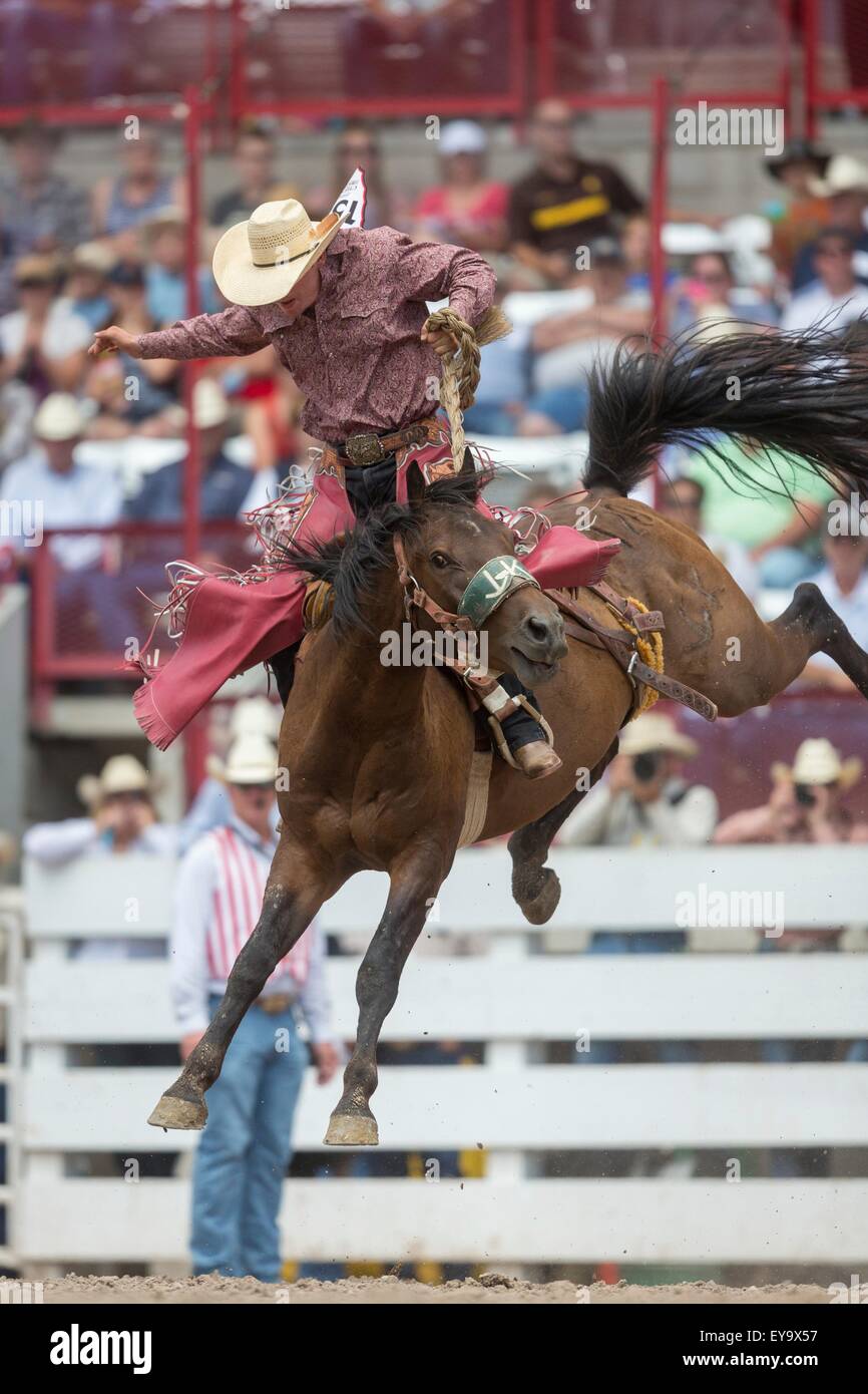 Cheyenne, Wyoming, USA. 24 juillet, 2015. Saddle Bronc rider Rookie Casey s'interrompt sur le bois à l'Wino Kamikaze Cheyenne Frontier Days à Frontier Park Arena le 24 juillet 2015 à Cheyenne, Wyoming. Frontier Days célèbre les traditions de l'ouest cowboy avec un rodéo, défilé et juste. Banque D'Images