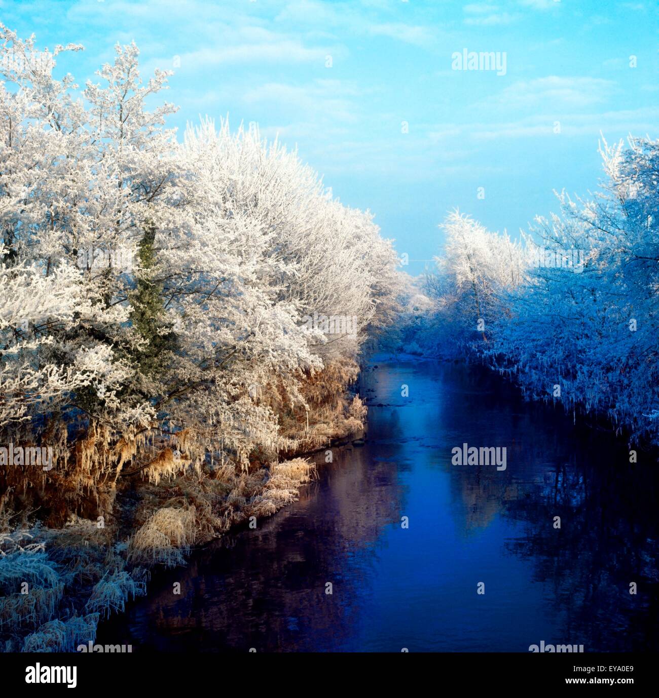 River Bann, Co Armagh, en Irlande Banque D'Images