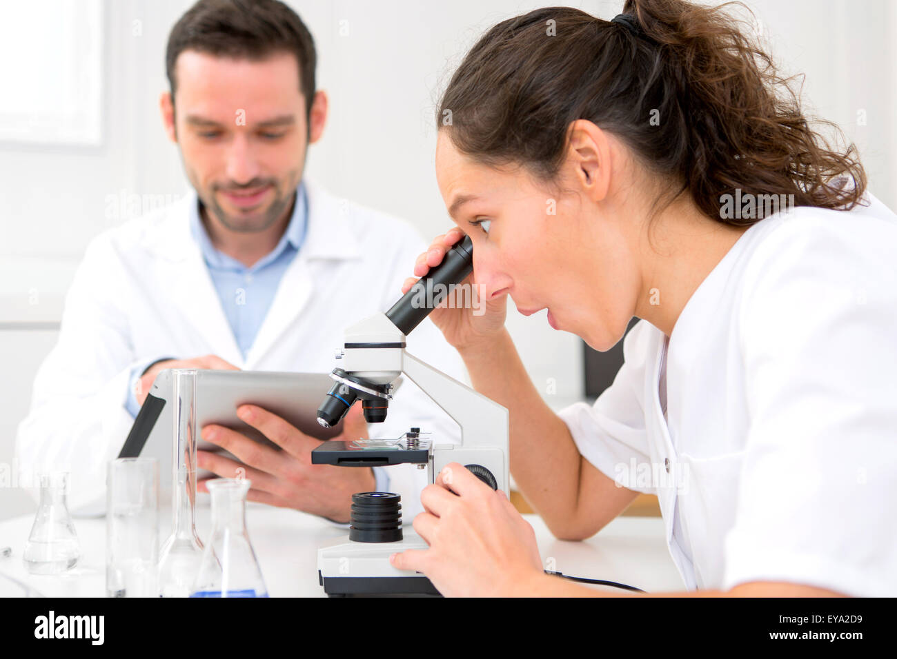 Avis d'un scientifique et son assistant dans un laboratoire Banque D'Images