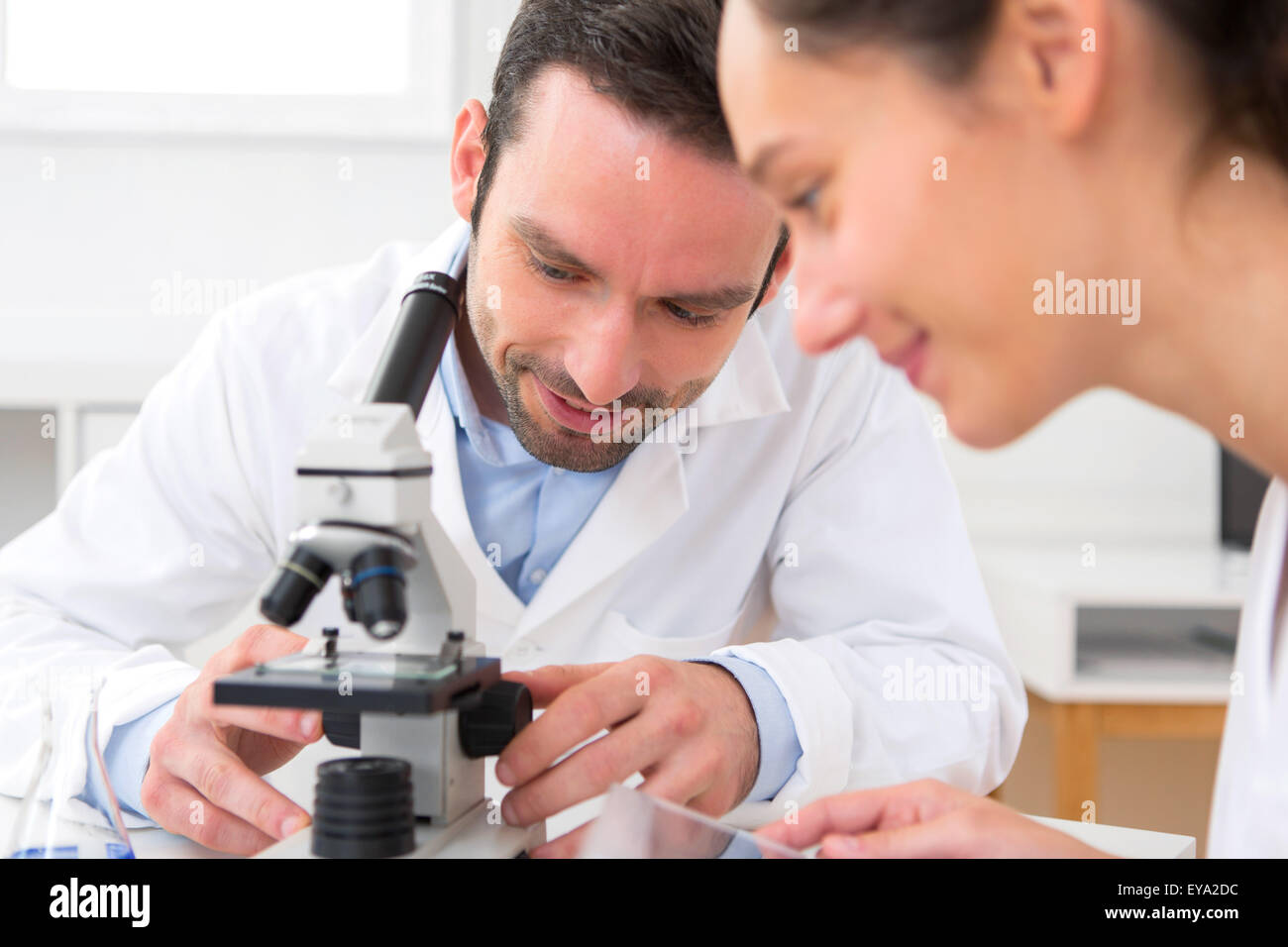 Avis d'un scientifique et son assistant dans un laboratoire Banque D'Images