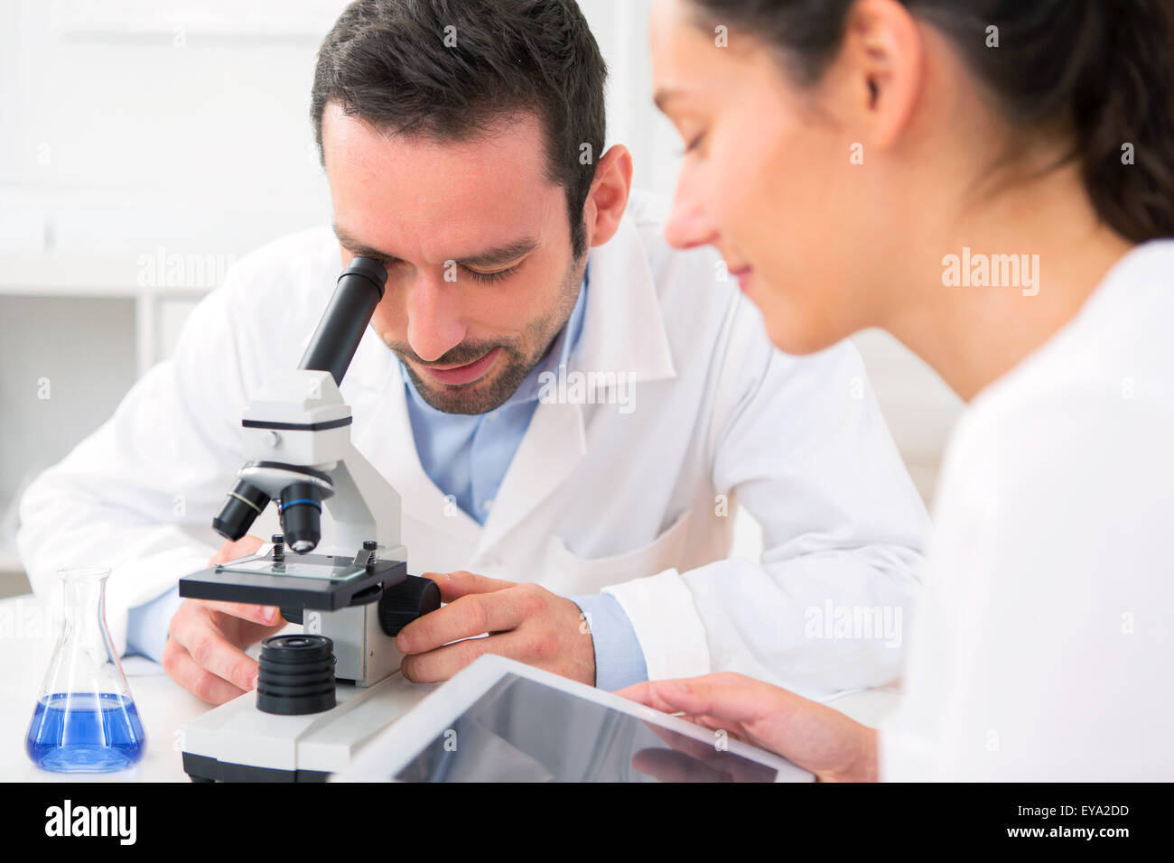 Avis d'un scientifique et son assistant dans un laboratoire Banque D'Images