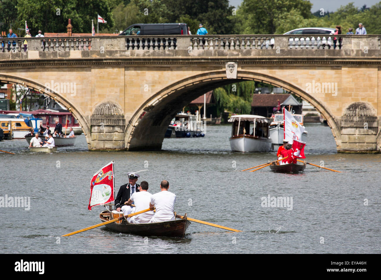 Swan annuel augmenter à Henley-on-Thames, 2015 Banque D'Images