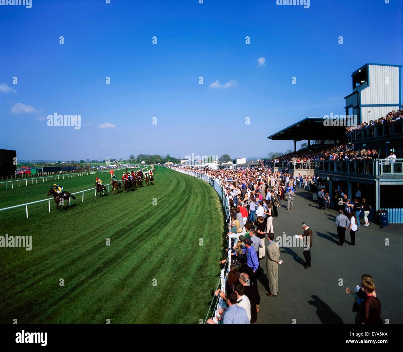 Hippodrome Royal vers le bas, vers le bas, l'Irlande, la course à la télévision Le Labyrinthe Banque D'Images