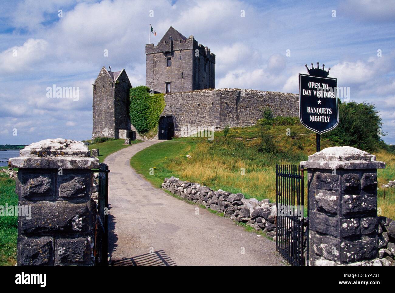 Dunguaire Castle, comté de Galway, Irlande ; Irlandais Historique 16e siècle château Banque D'Images