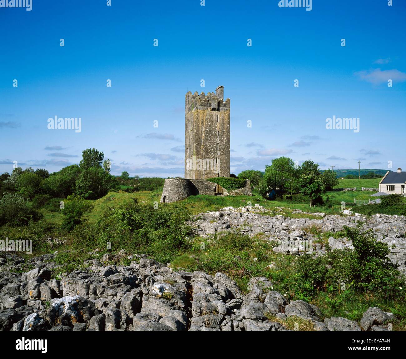 Ballyportry Château, Corrofin, Co Clare, Ireland ; Tower House Banque D'Images