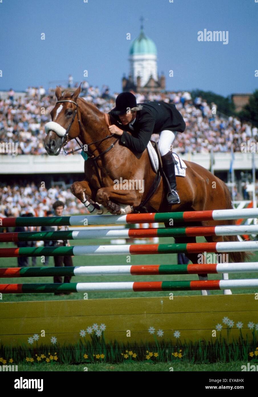 Cso RDS Arena, Ballsbridge, comté de Dublin, Irlande Banque D'Images