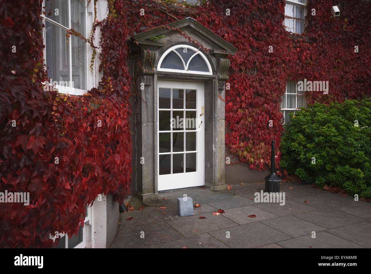 Ivy-Covered Butler House, Kilkenny, comté de Kilkenny, Irlande Banque D'Images