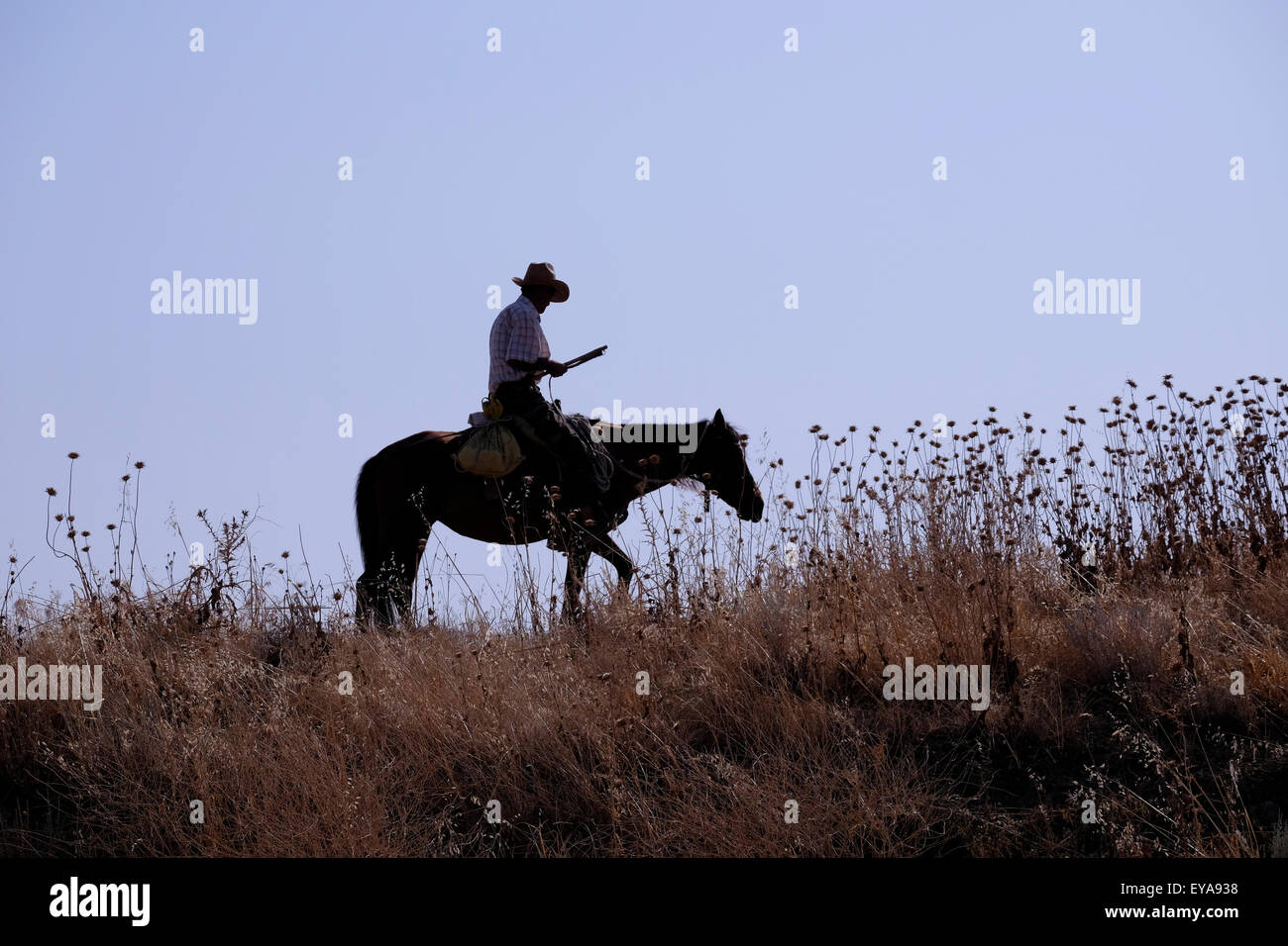 Un villageois monté sur un cheval dans le district de Gobustan en Azerbaïdjan Banque D'Images