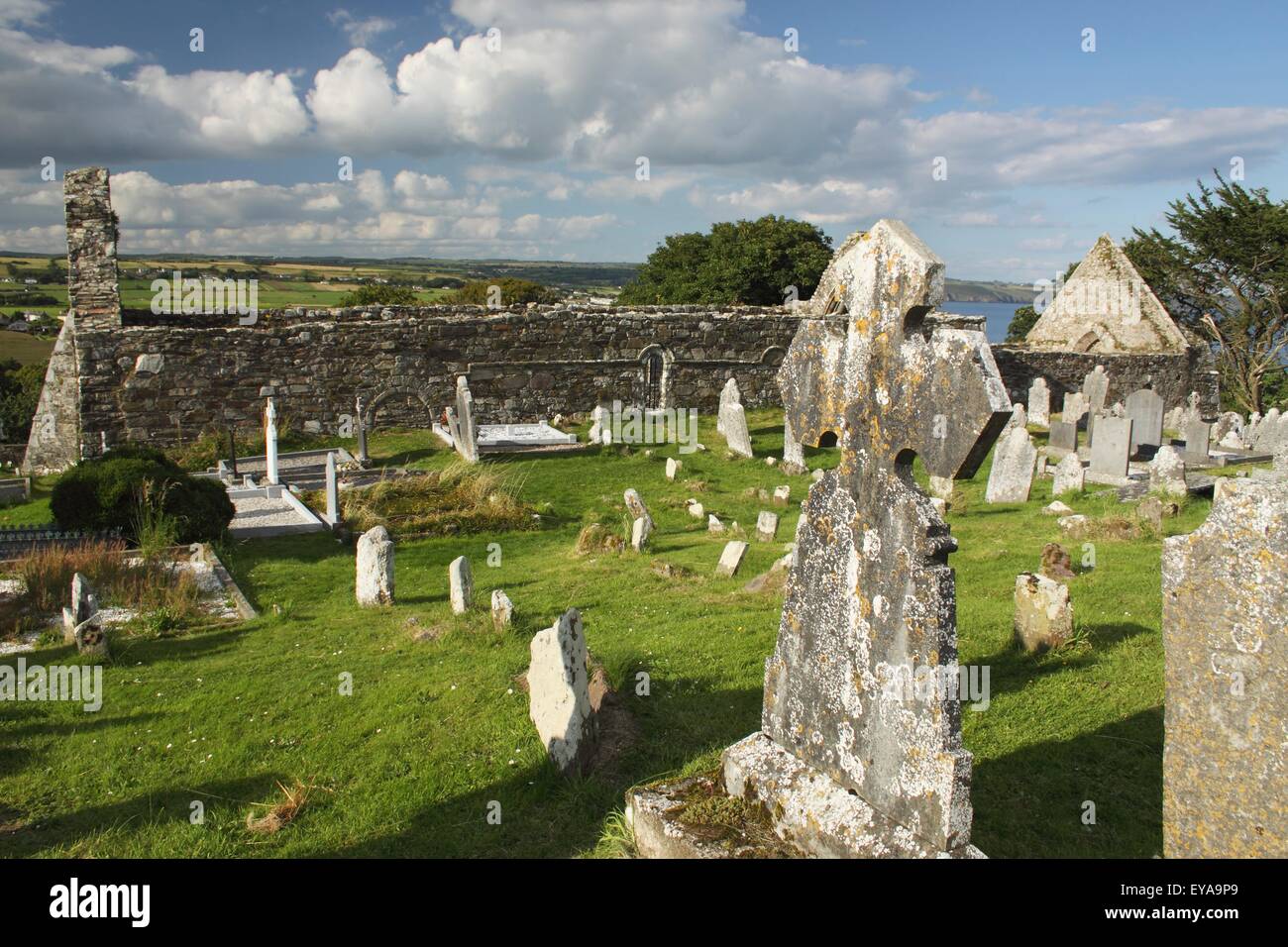 La Cathédrale et le cimetière d'Ardmore dans la région de Munster, comté de Waterford, Irlande Banque D'Images