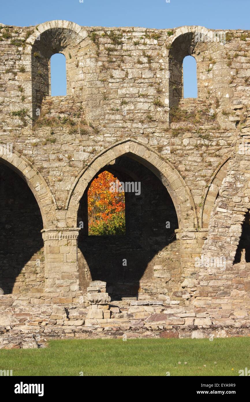 Abbaye de Jerpoint dans Leinster Région ; County Kilkenny, Ireland Banque D'Images