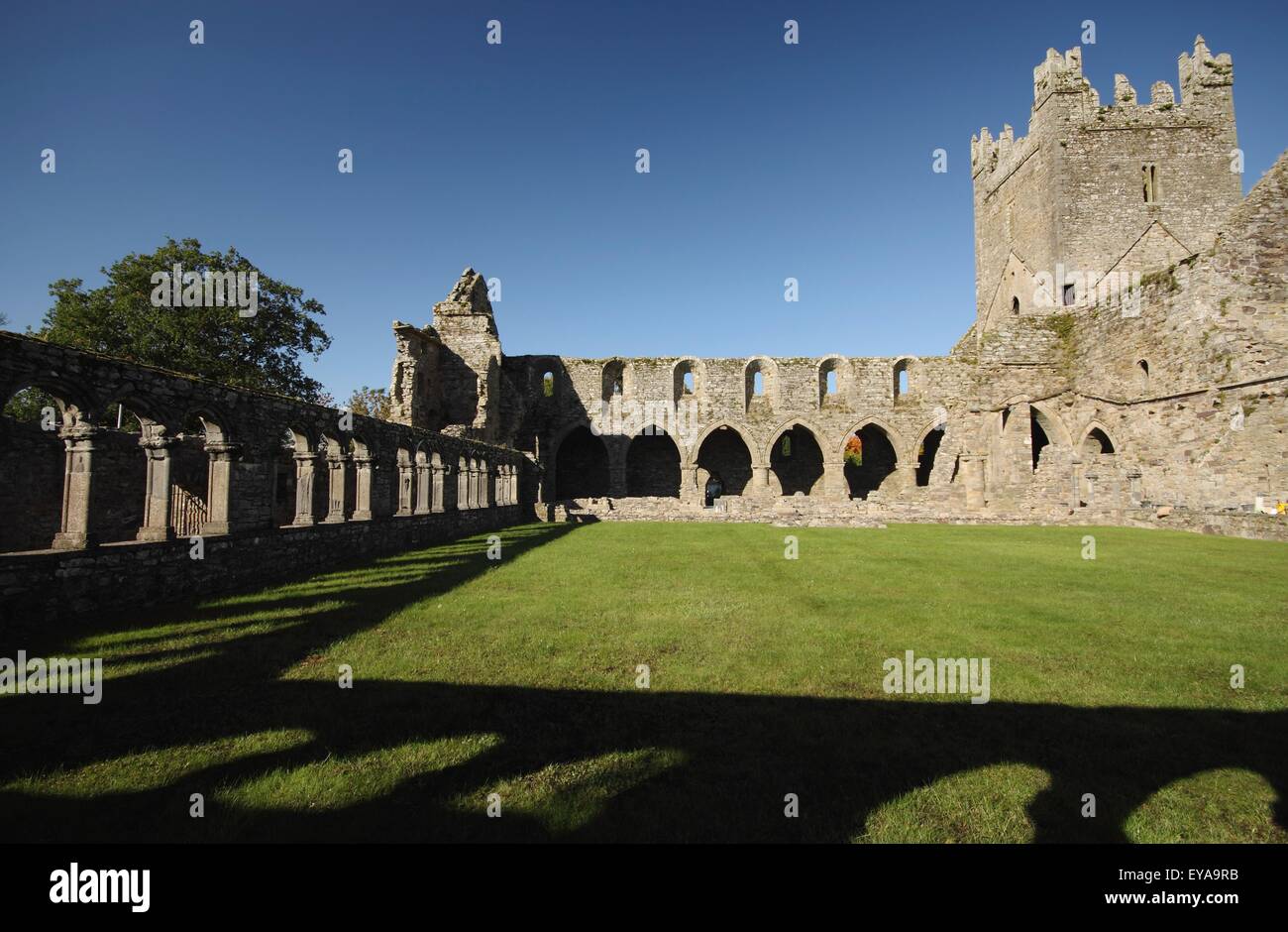 Abbaye de Jerpoint dans Leinster Région ; County Kilkenny, Ireland Banque D'Images