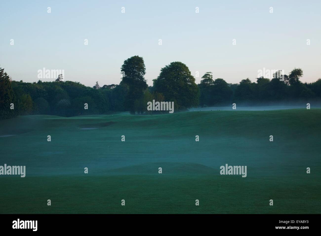 Têtes sur Golf, Ashford Castle Golf Club ; Cong, dans le comté de Mayo, Irlande Banque D'Images