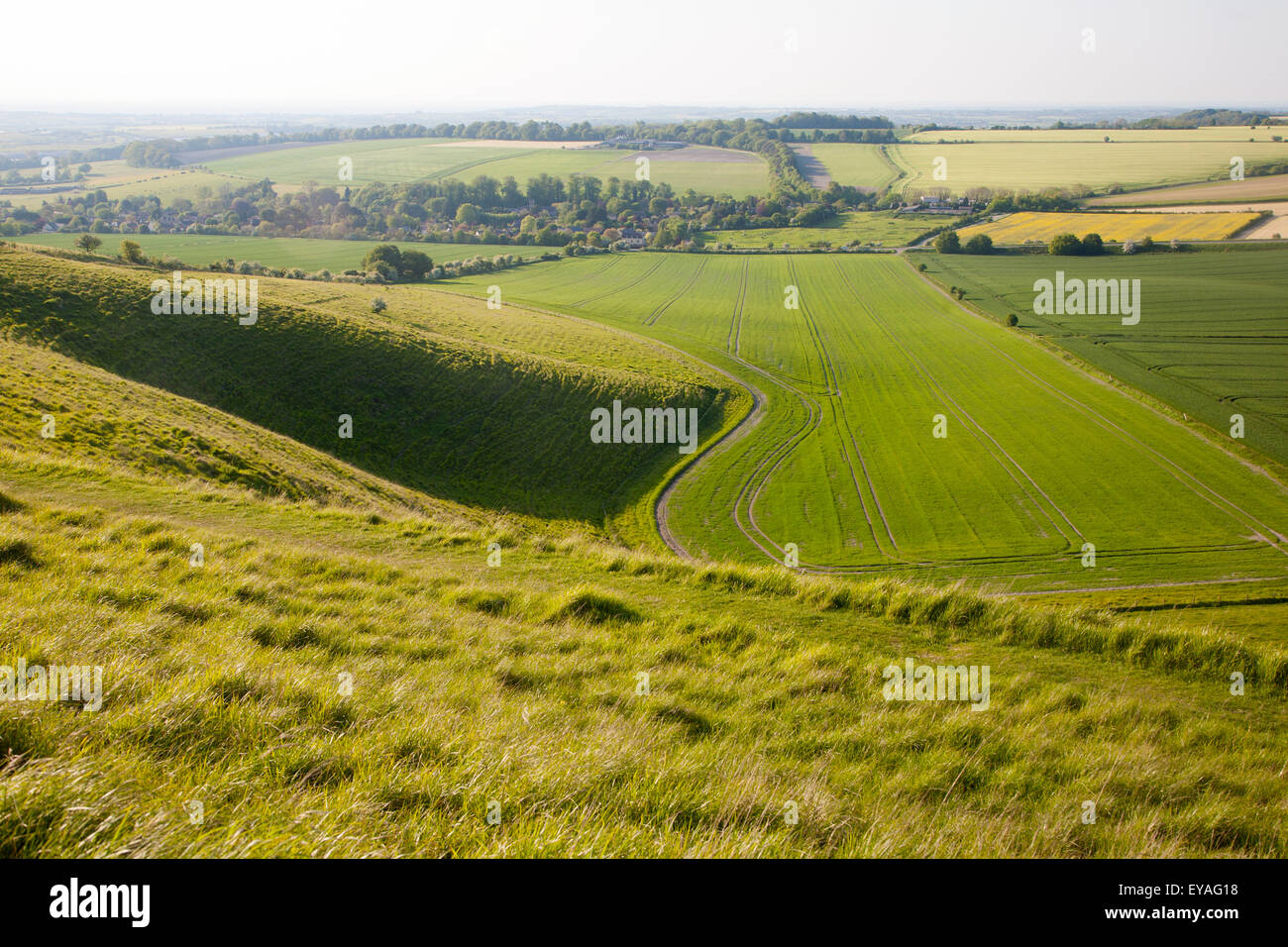 Vue d'été de champs arables et paysage de craie Winfield bas escarpement, Wiltshire, England, UK Banque D'Images