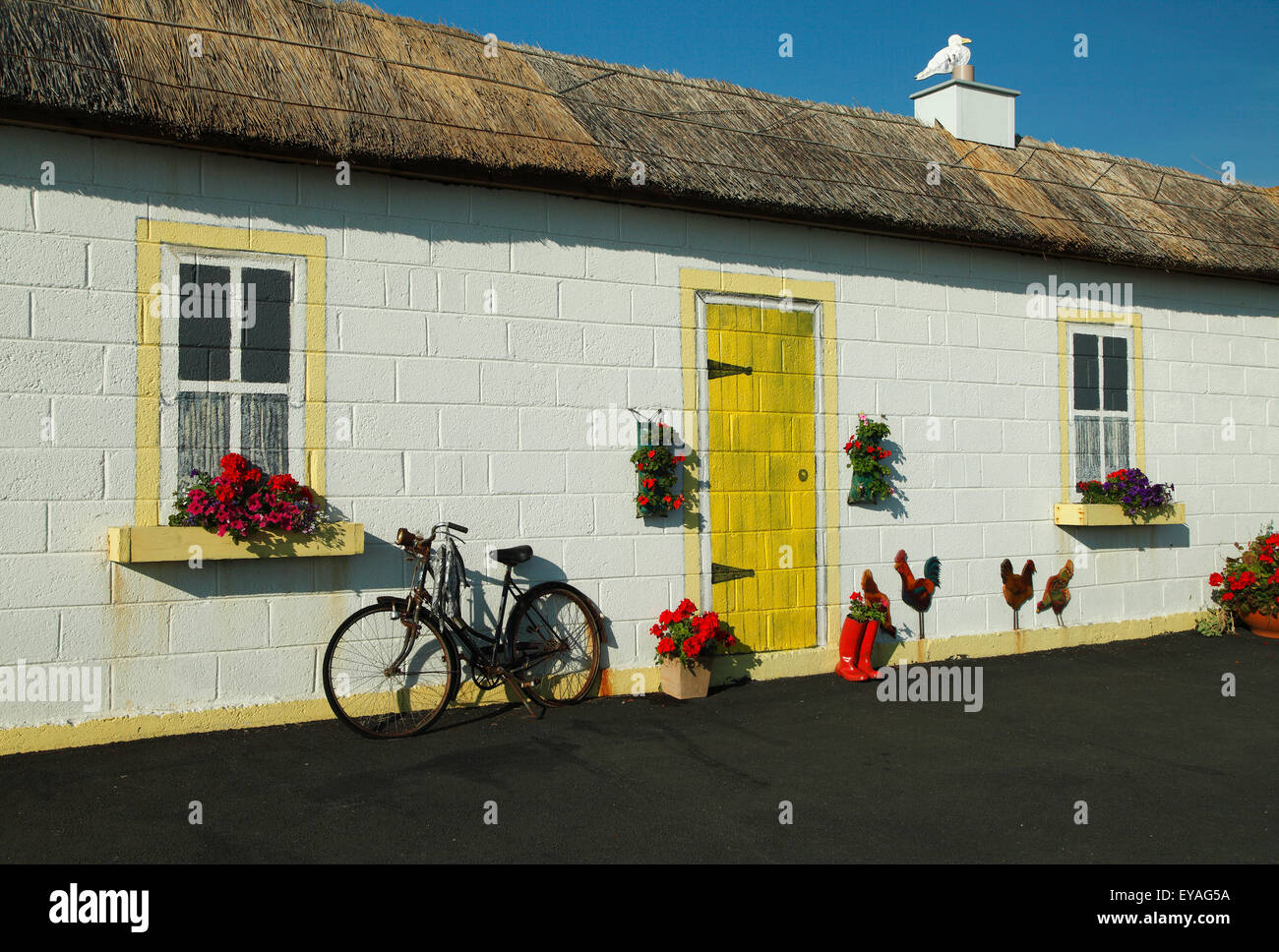 Façade peinte de old thatch cottage de pêche de Ardmore village ; Ardmore, comté de Waterford, Irlande Banque D'Images