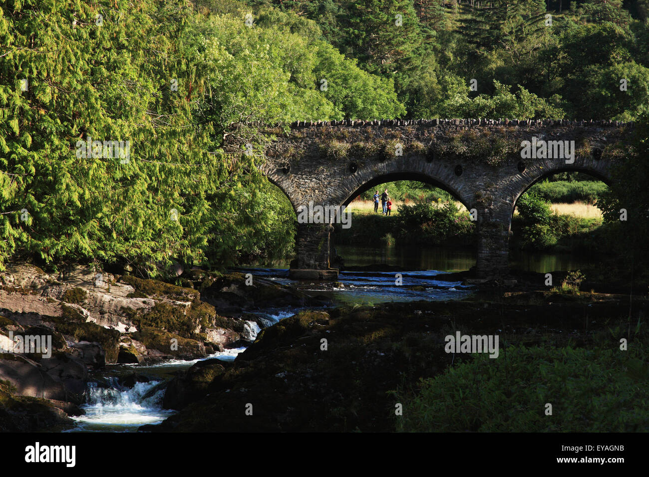 Un pont enjambant la rivière Sheen, Kenmare, comté de Kerry, Irlande Banque D'Images