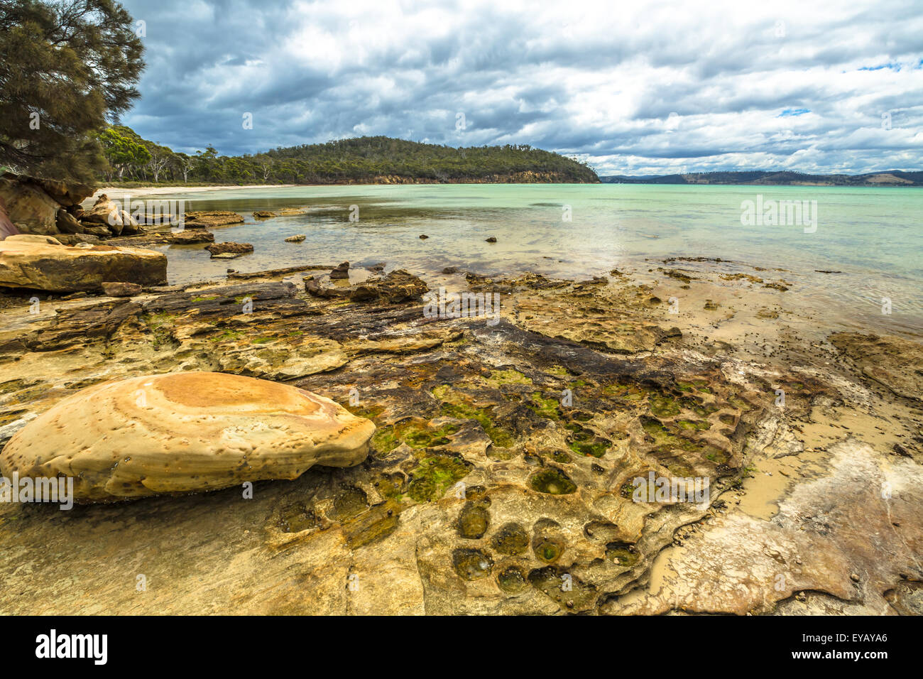 Plage rocheuse Tasmanie Banque D'Images