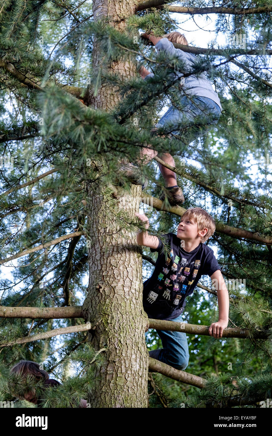 Enfants Grimper Aux Arbres Banque D'image Et Photos - Alamy