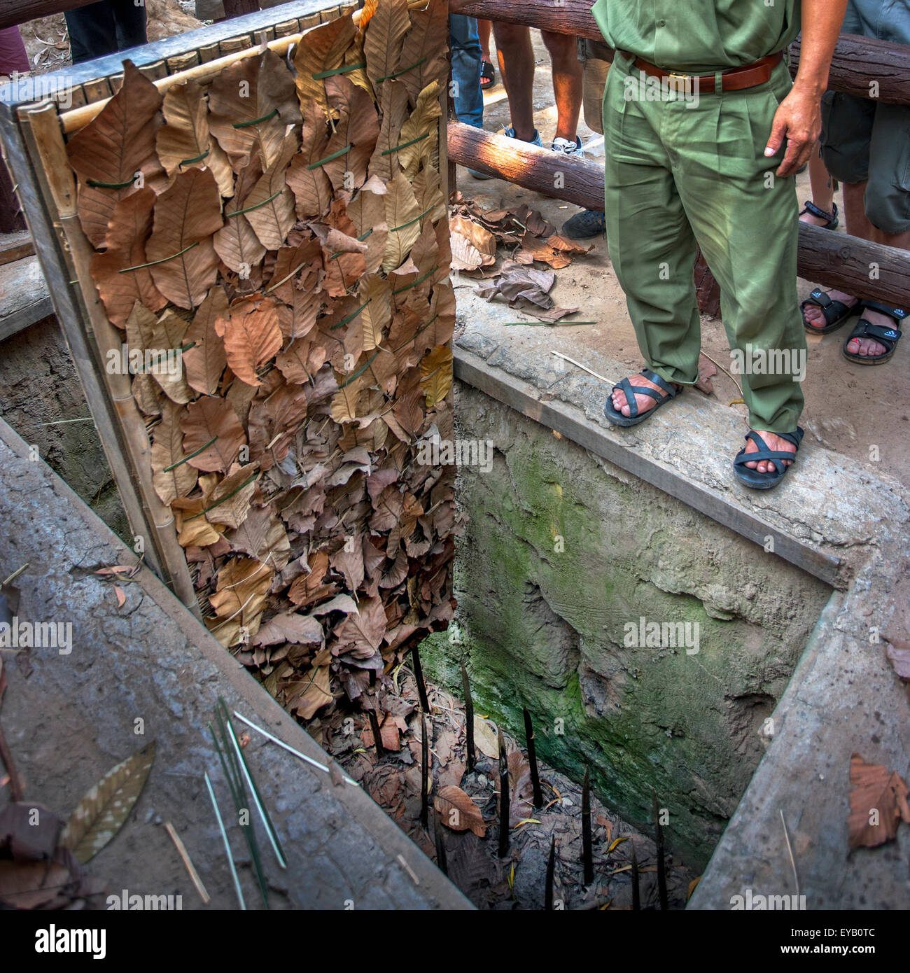 Un tigre dans le séparateur d'eau Tunnels de Cu Chi au Vietnam Banque D'Images