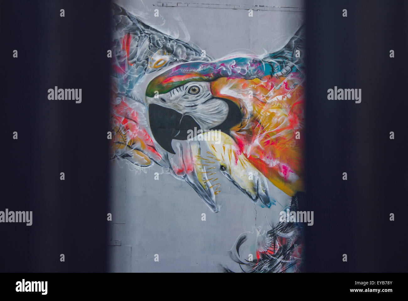 2015 Upfest, le plus important d'Europe, gratuitement, street art & graffiti festival, qui attire plus de 250 artistes peinture 28 sites, Bristol Banque D'Images