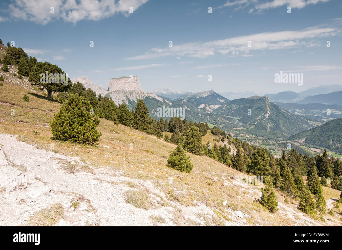 Vue sur parc dans le Parc Régional du Vercors, avec le Mont Aiguille en arrière-plan. Isere. Alpes françaises. La France. Banque D'Images