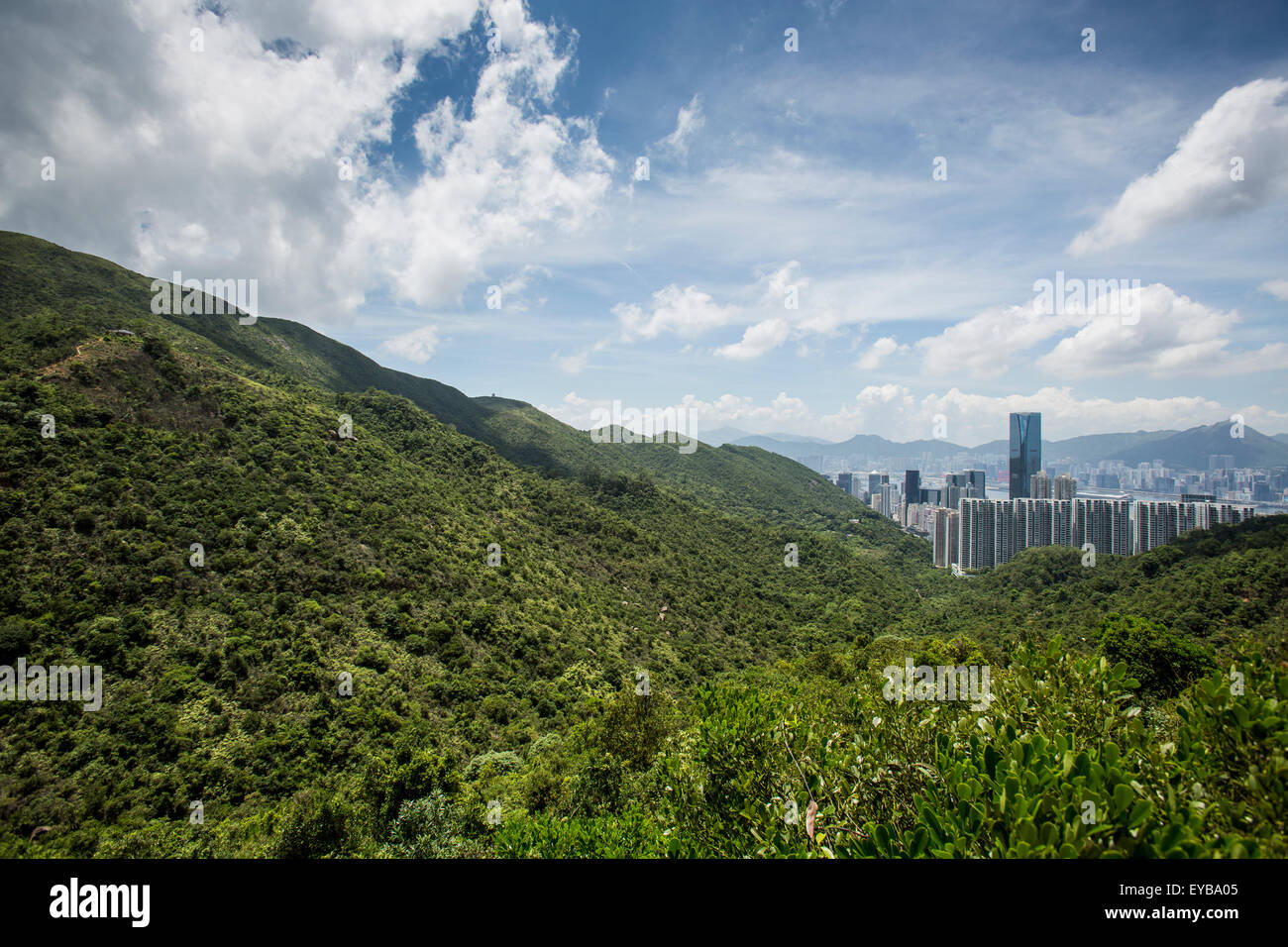 La vue spectaculaire de Hong Kong encore densément peuplées jungle style tropes. L'île de Hong Kong. Quarry Bay / Taikoo Shing. Banque D'Images