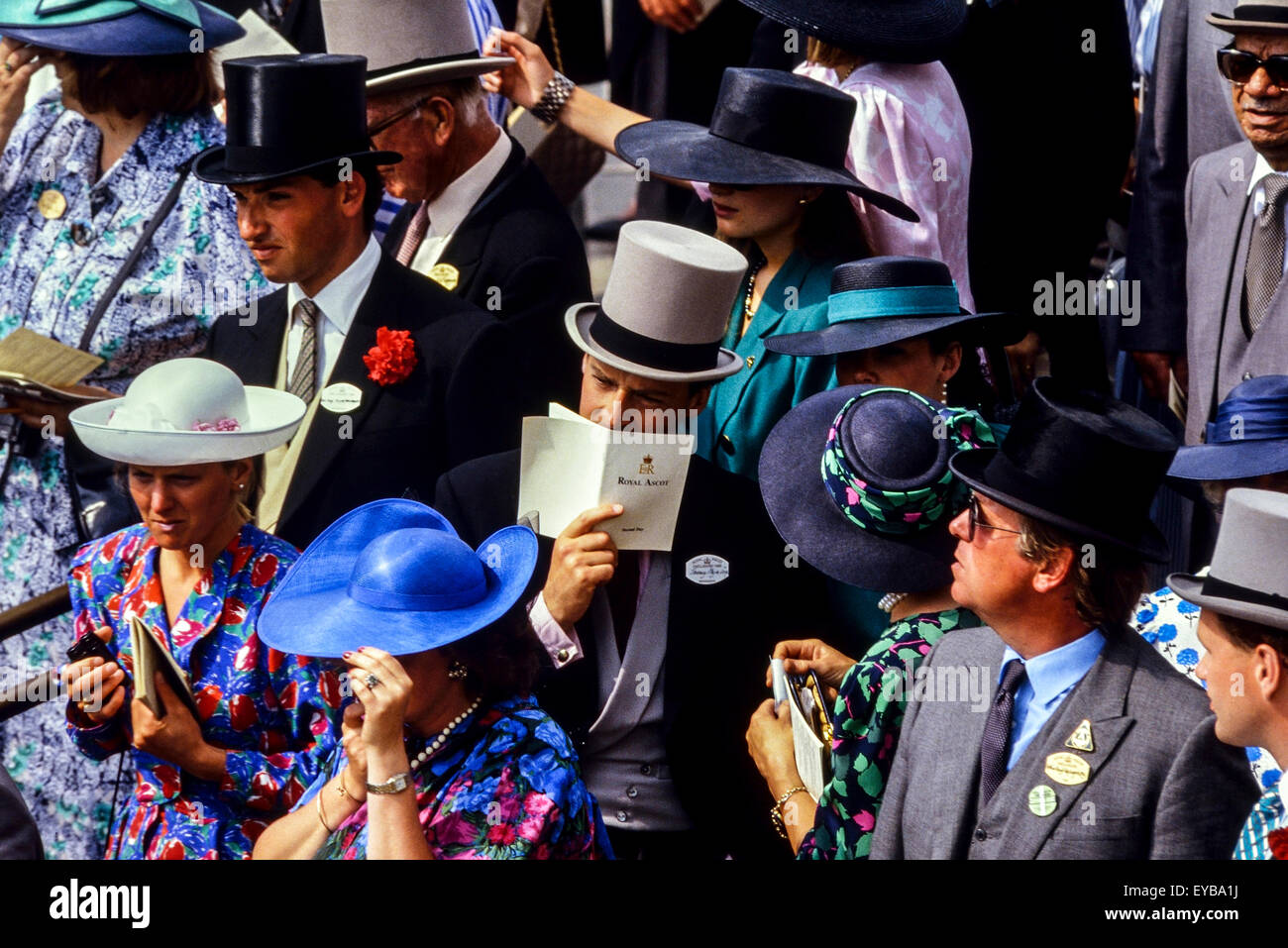 Les spectateurs dans l'enceinte royale au Royal Ascot races. Dans le Berkshire. L'Angleterre. UK Banque D'Images