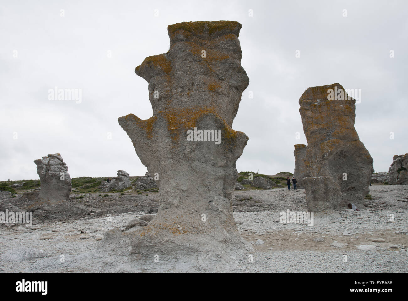 La pile ou seastack - un relief géologique constitué d'une colonne verticale et souvent escarpées ou des colonnes de rock formé par l'érosion Banque D'Images