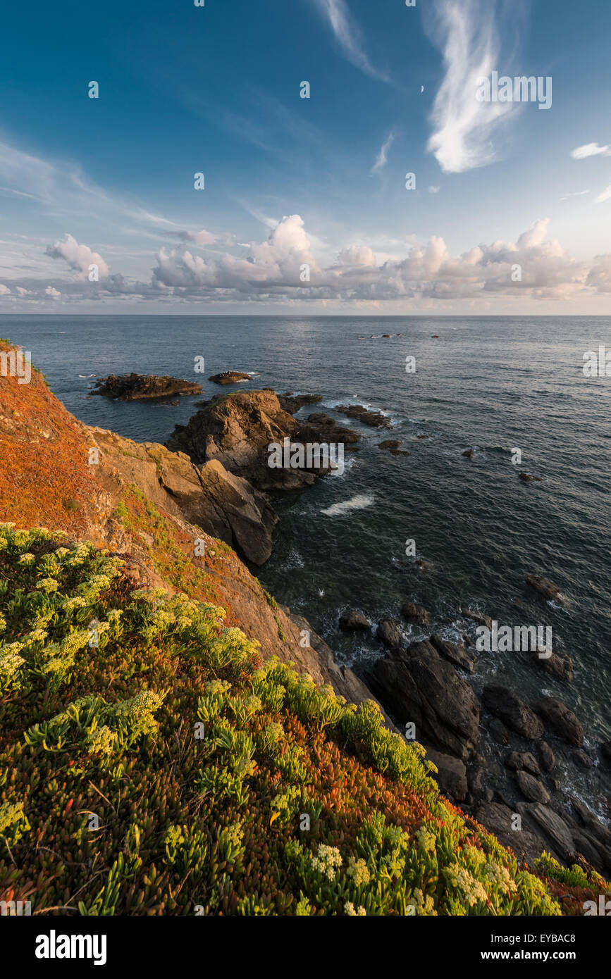 Le cap Lizard Cornwall Banque D'Images