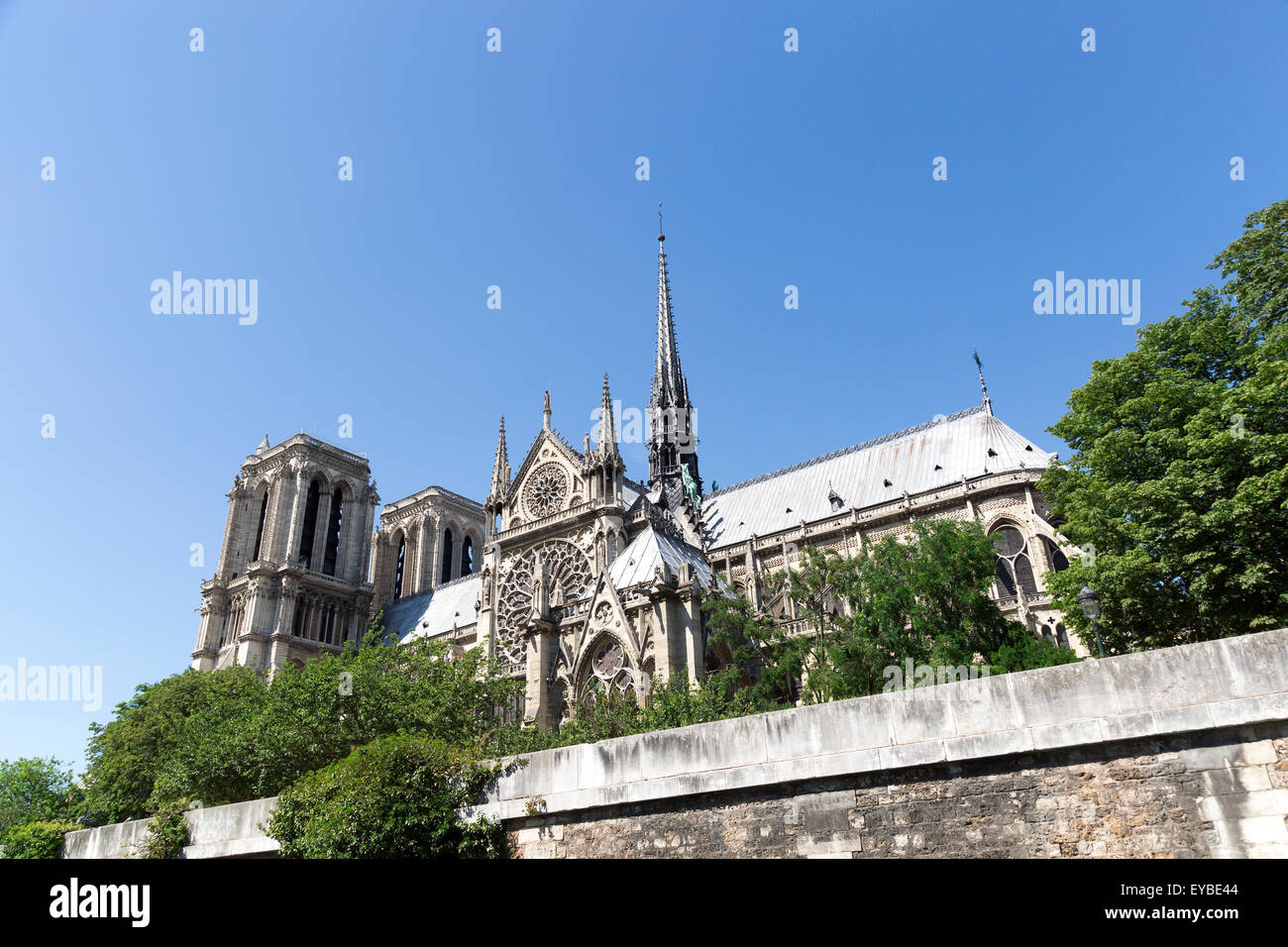 La Cathédrale Notre-Dame à Paris, France avec un ciel bleu clair derrière elle. Photo prise à partir de la Seine. Banque D'Images