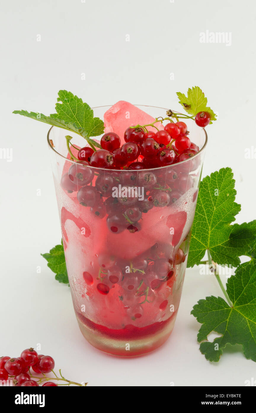 Thé glacé de groseille fraîche dans un verre décoré avec des feuilles de cassis et de fruits on white Banque D'Images