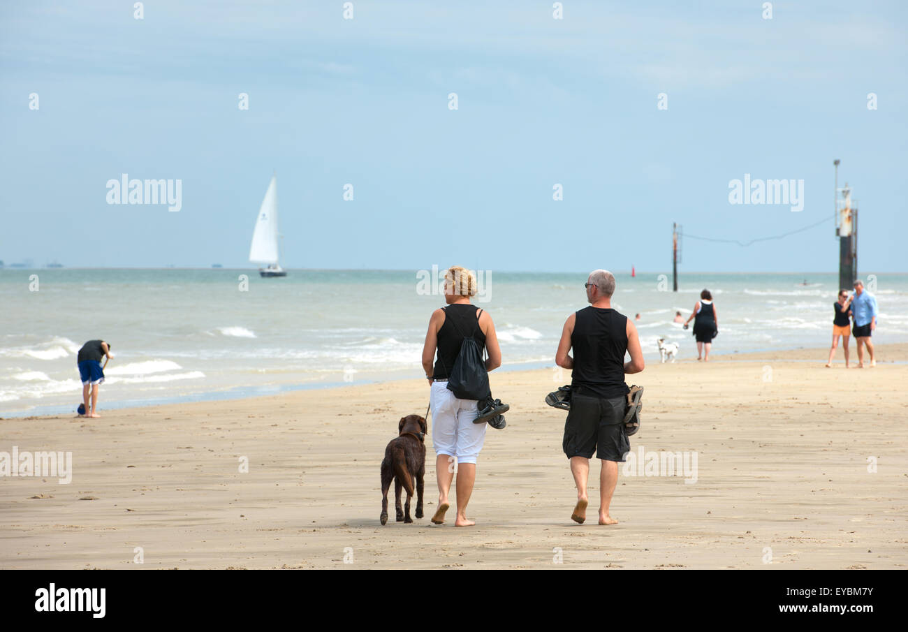 Plusieurs personnes sur la plage en été, certains avec des chiens, d'autres jouant avec un cerf-volant Banque D'Images