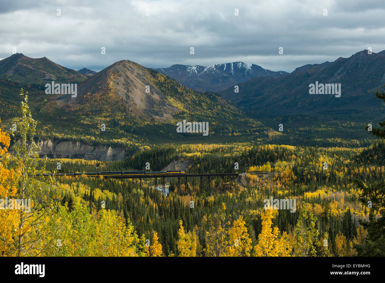 Alaska Railroad roulant dans un paysage d'automne, le parc national Denali, Alaska Banque D'Images