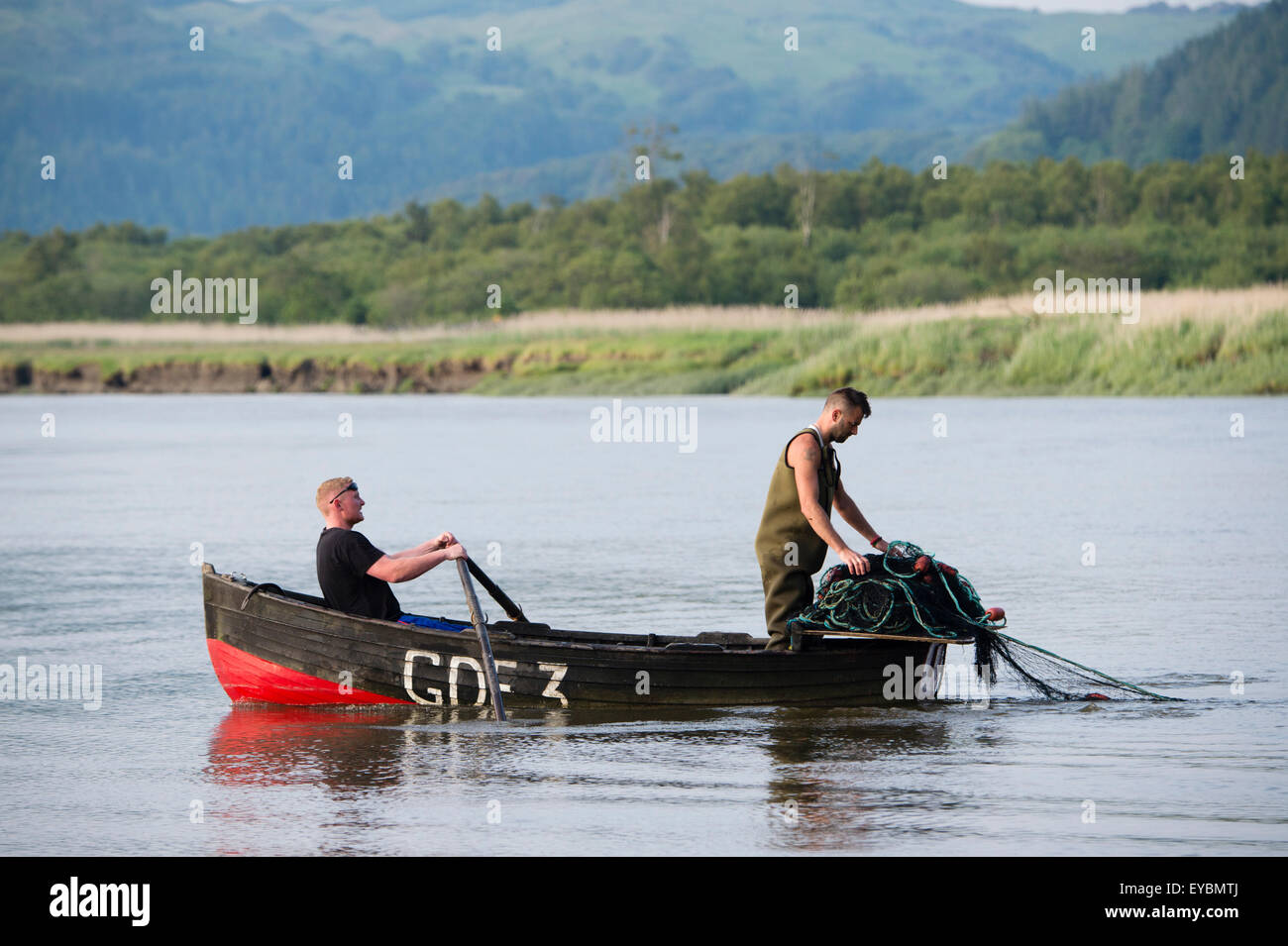 Sur le filet maillant Senne Dyfi : pêcheurs autorisés dans un petit bateau à rames à l'aide du traditionnel 'seine' compensation techniques pour pêcher le saumon et de sewin au crépuscule et à marée haute sur la rivière Dyfi , Ceredigion, pays de Galles UK Banque D'Images