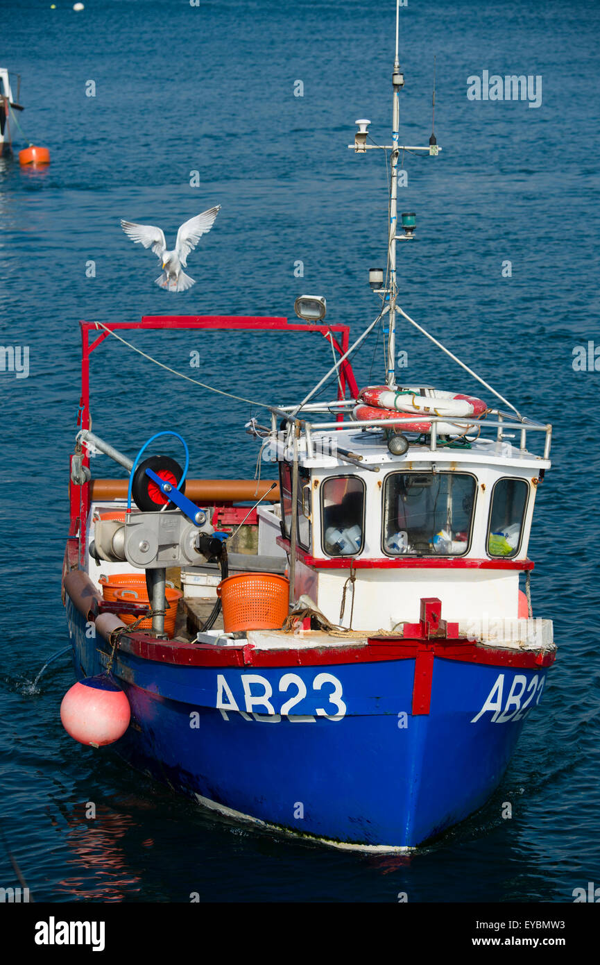 La pêche côtière sur la baie de Cardigan à Aberdovey / Aberdyfi : un petit bateau de retour à quai après une journée de pêche au homard et crabe. Banque D'Images