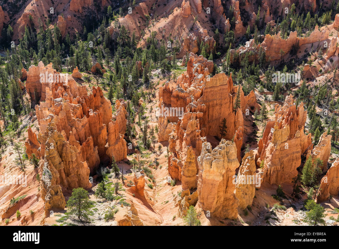Bryce Canyon National Park, Utah Banque D'Images