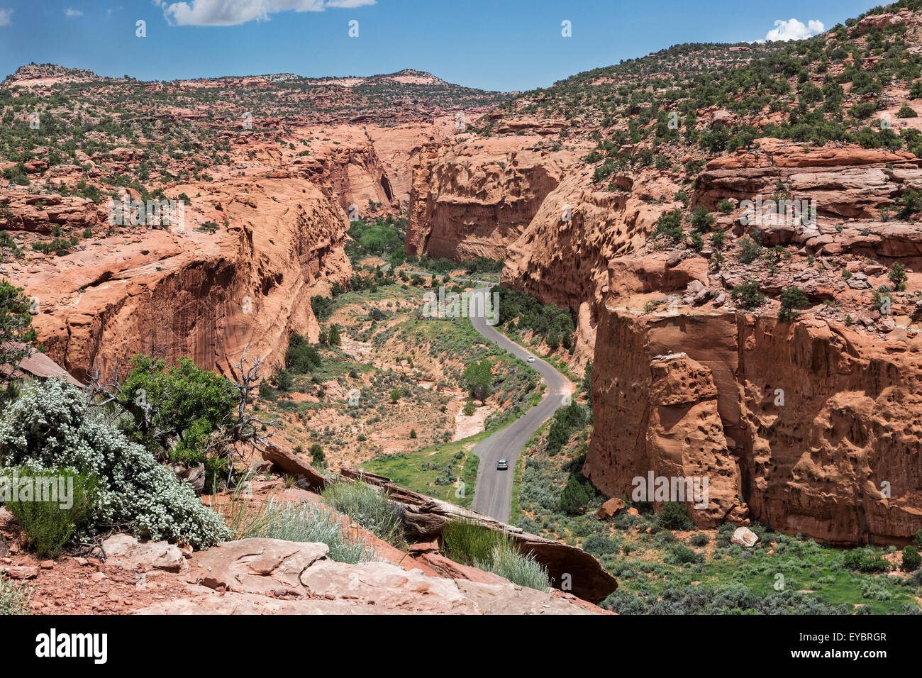 Scenic Road, Grand Staircase-Escalante National Monument (Utah) Banque D'Images
