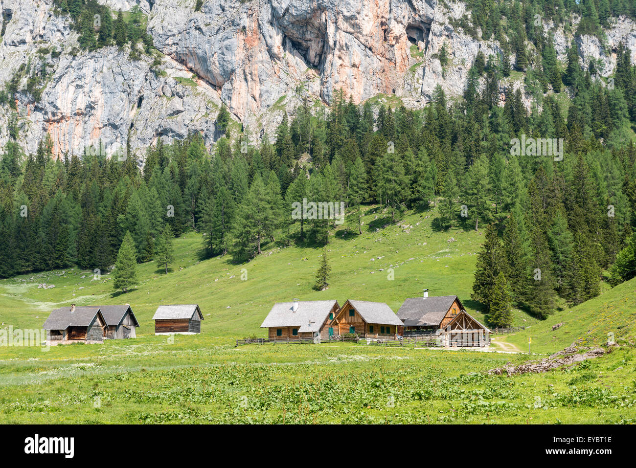 Chalets alpins, Wurzeralm, Autriche Banque D'Images