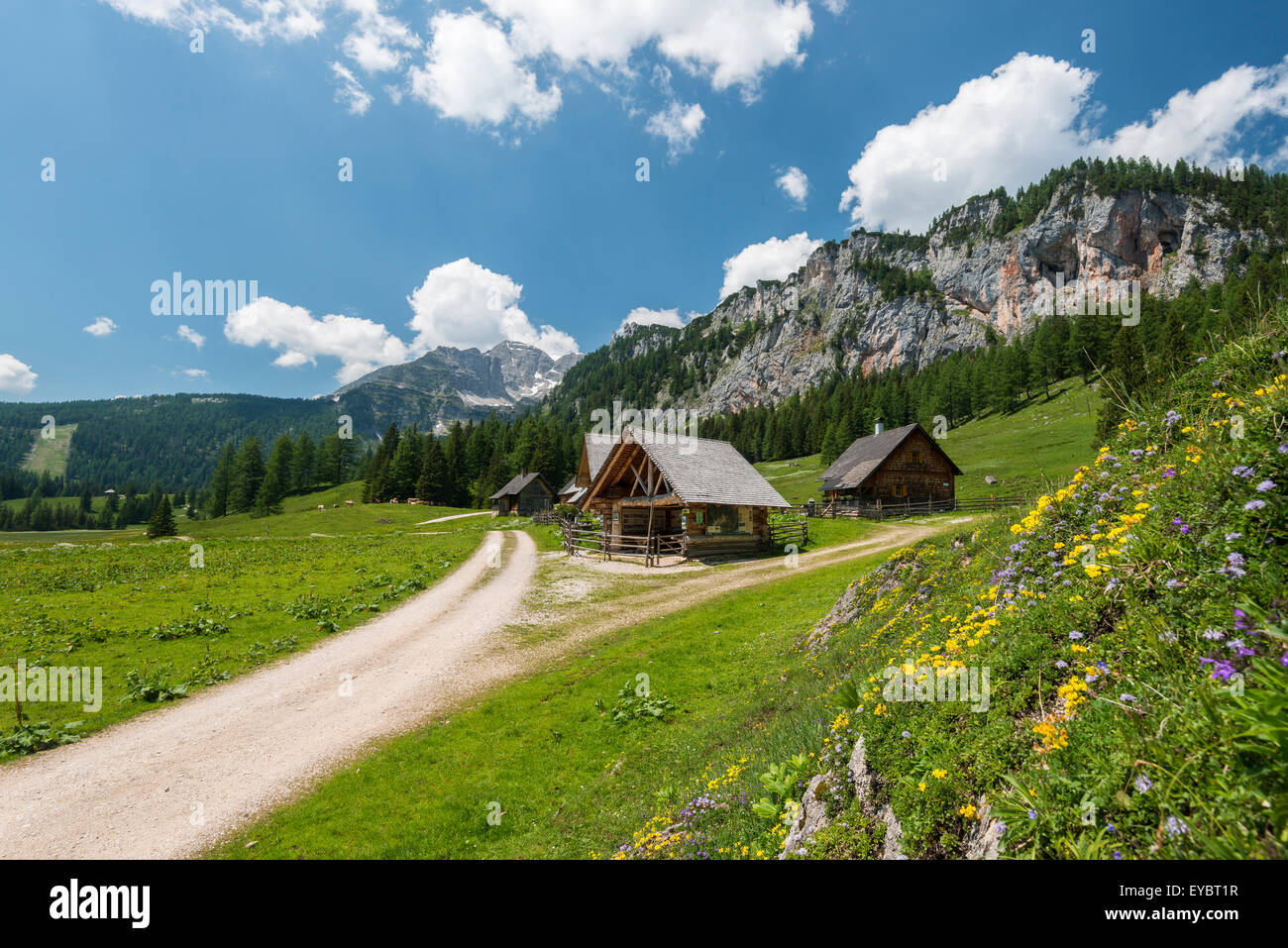 Alpine chalets de Wurzeralm, Autriche Banque D'Images