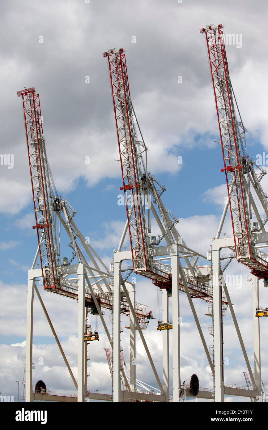 Port à conteneurs DPWorld Southampton UK. Grues utilisées pour charger et décharger les transporteurs sur un quai en eau profonde Banque D'Images