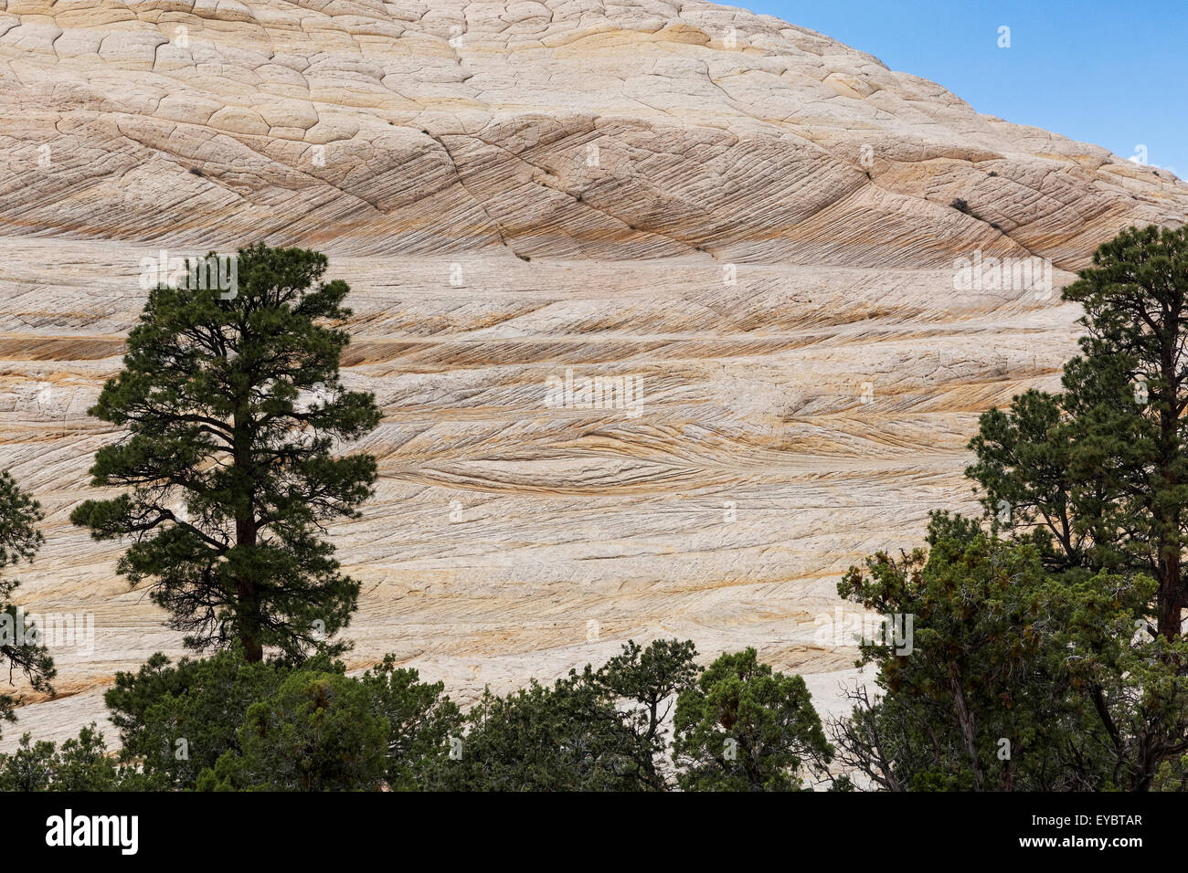 La literie, Grand Staircase-Escalante National Monument (Utah) Banque D'Images