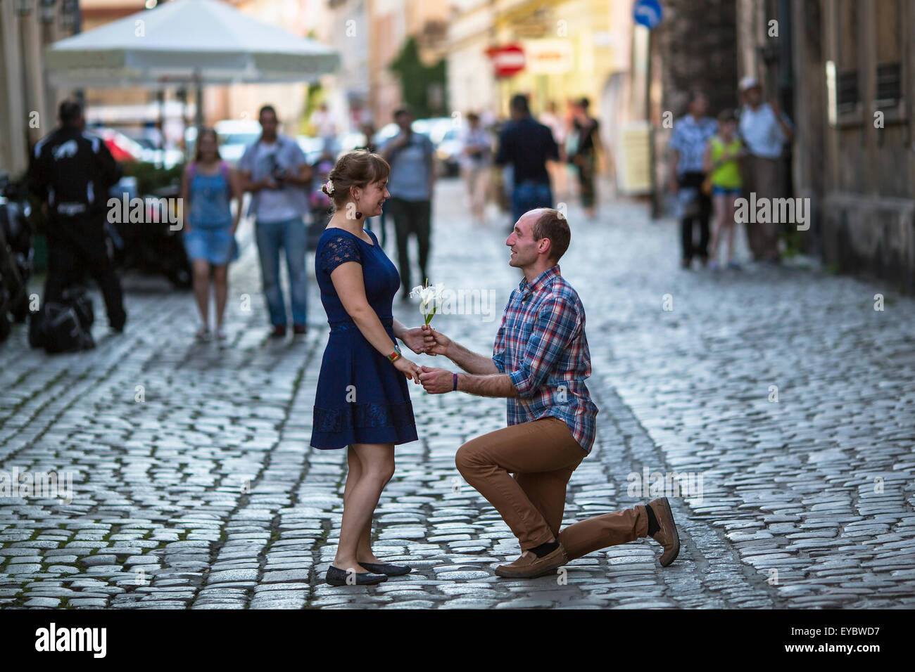 Couple in love sur la rue. L'homme sur ses genoux une femme donne une fleur, fait une offre. L'homme et de la femme au cours de miel. Banque D'Images