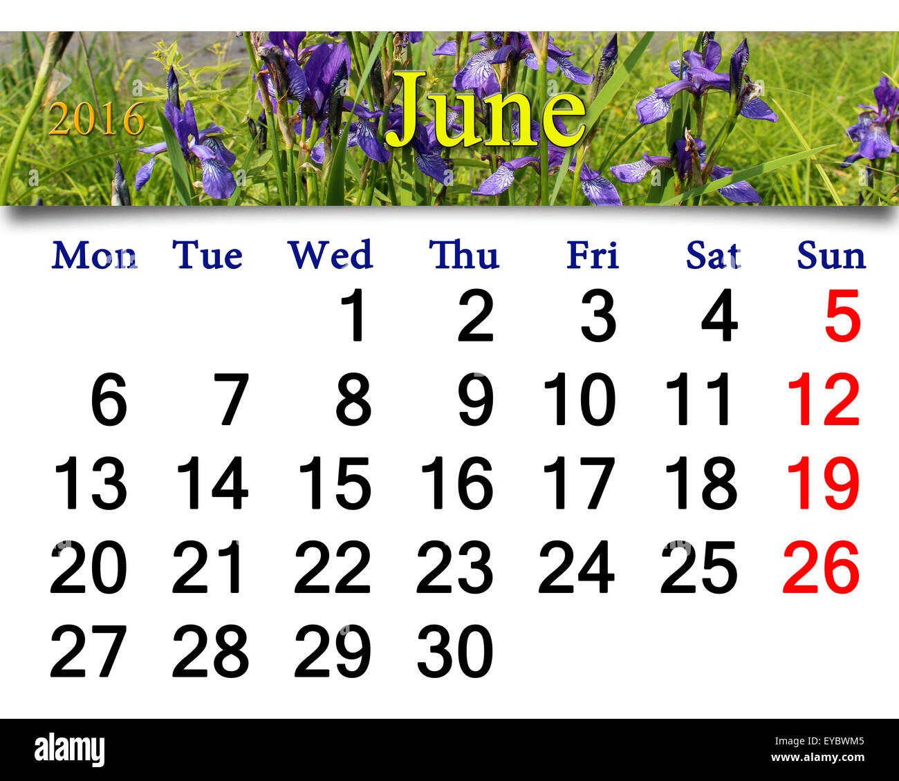 Calendrier pour juin 2016 sur le fond d'iris en fleurs Banque D'Images