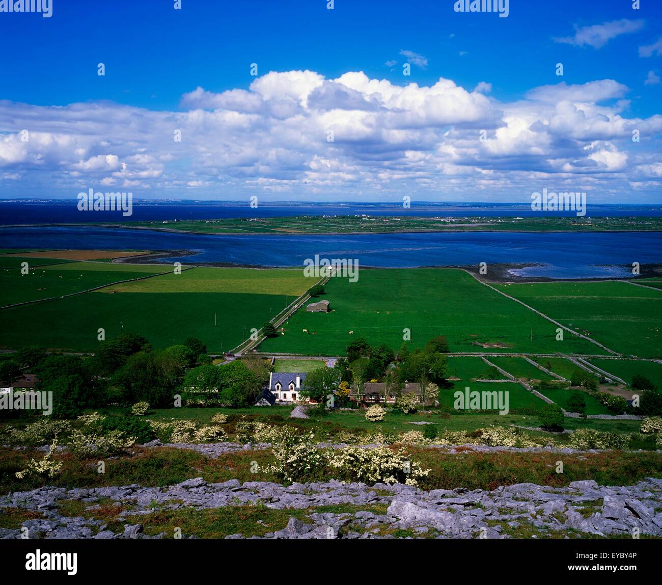 Les pâturages et la côte, le Burren, près de Ennistymon, Co Clare, Ireland Banque D'Images