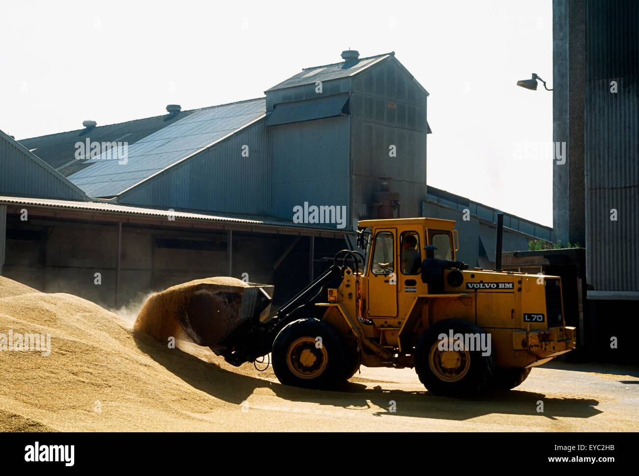Stockage de grain co kildare irlande Banque de photographies et d