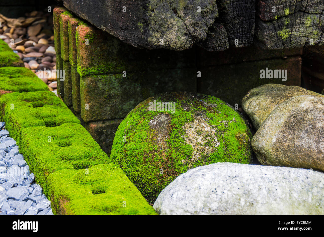 Jardin d'ornement avec le lichen sur la pierre. Banque D'Images