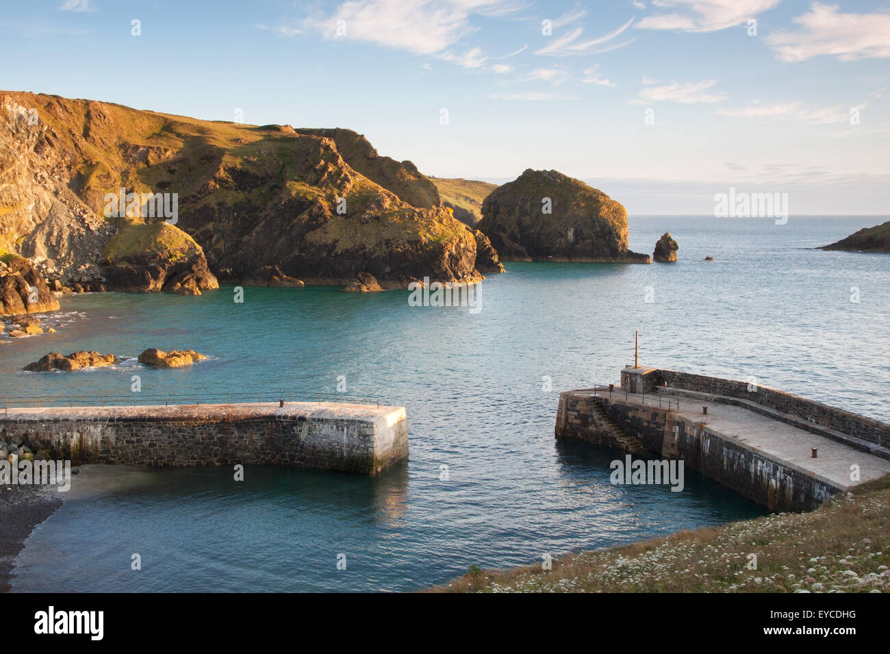 Mullion Cove sur la Péninsule du Lézard en Cornouailles Banque D'Images